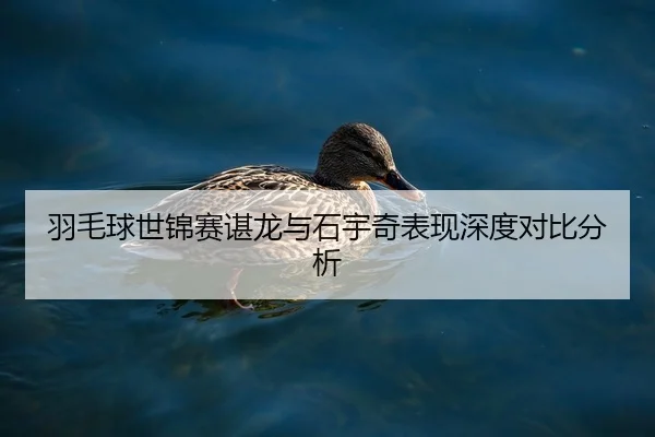 yu-mao-qiu-shi-jin-sai-chen-long-yu-shi-yu-qi-biao-xian-shen-du-dui-bi-fen-xi-2-785.jpg